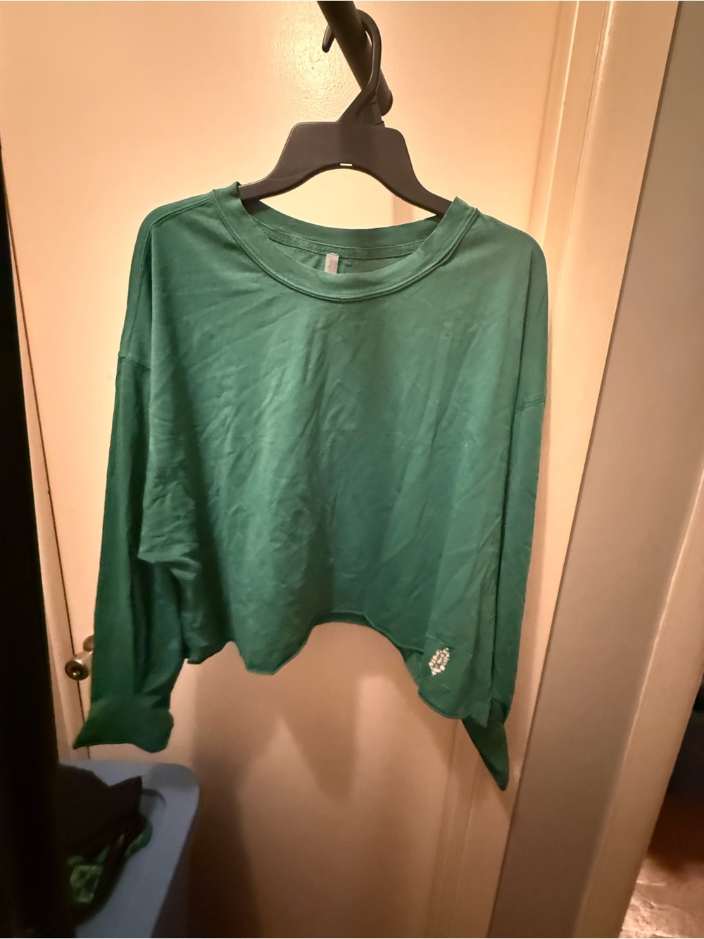 Free people movement inspire layer Long-Sleeve Crop Top NWT size Large